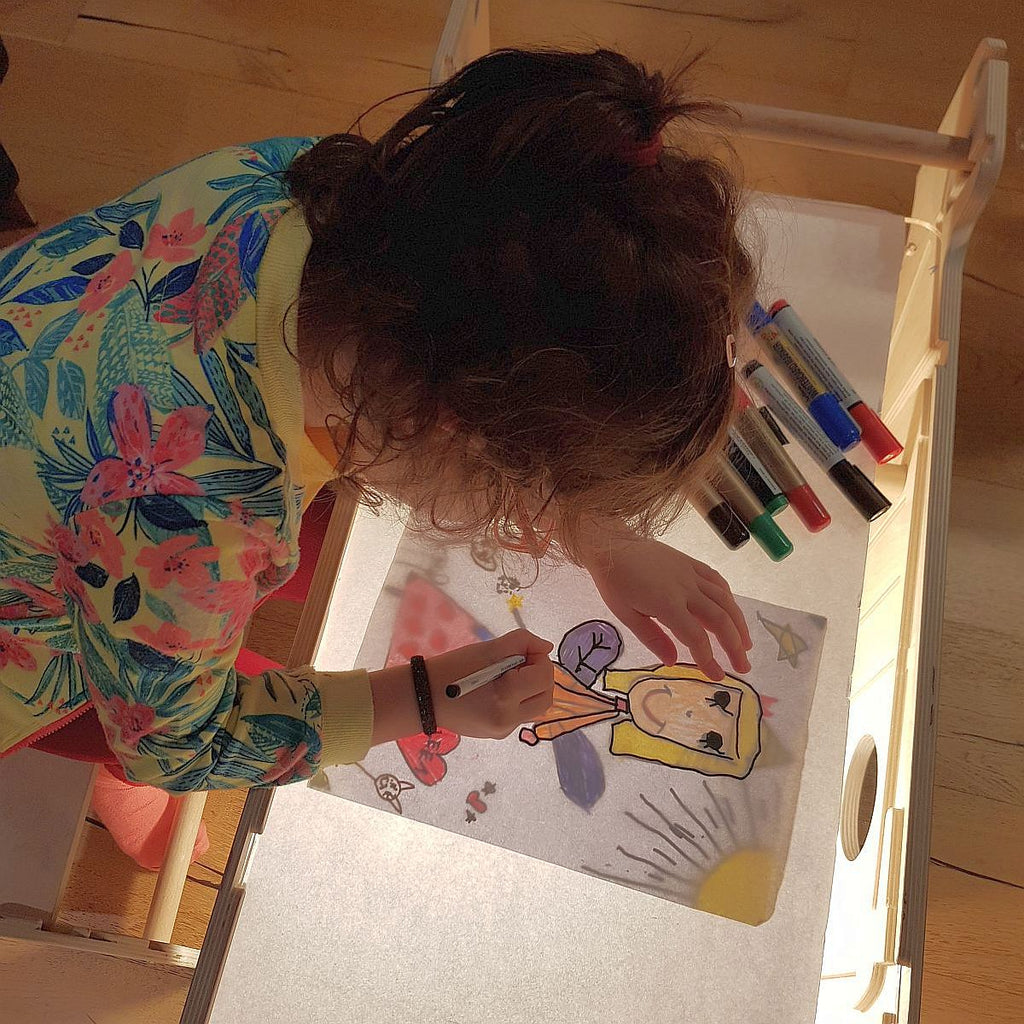 Accesoriu: Panou Acrilic Transparent