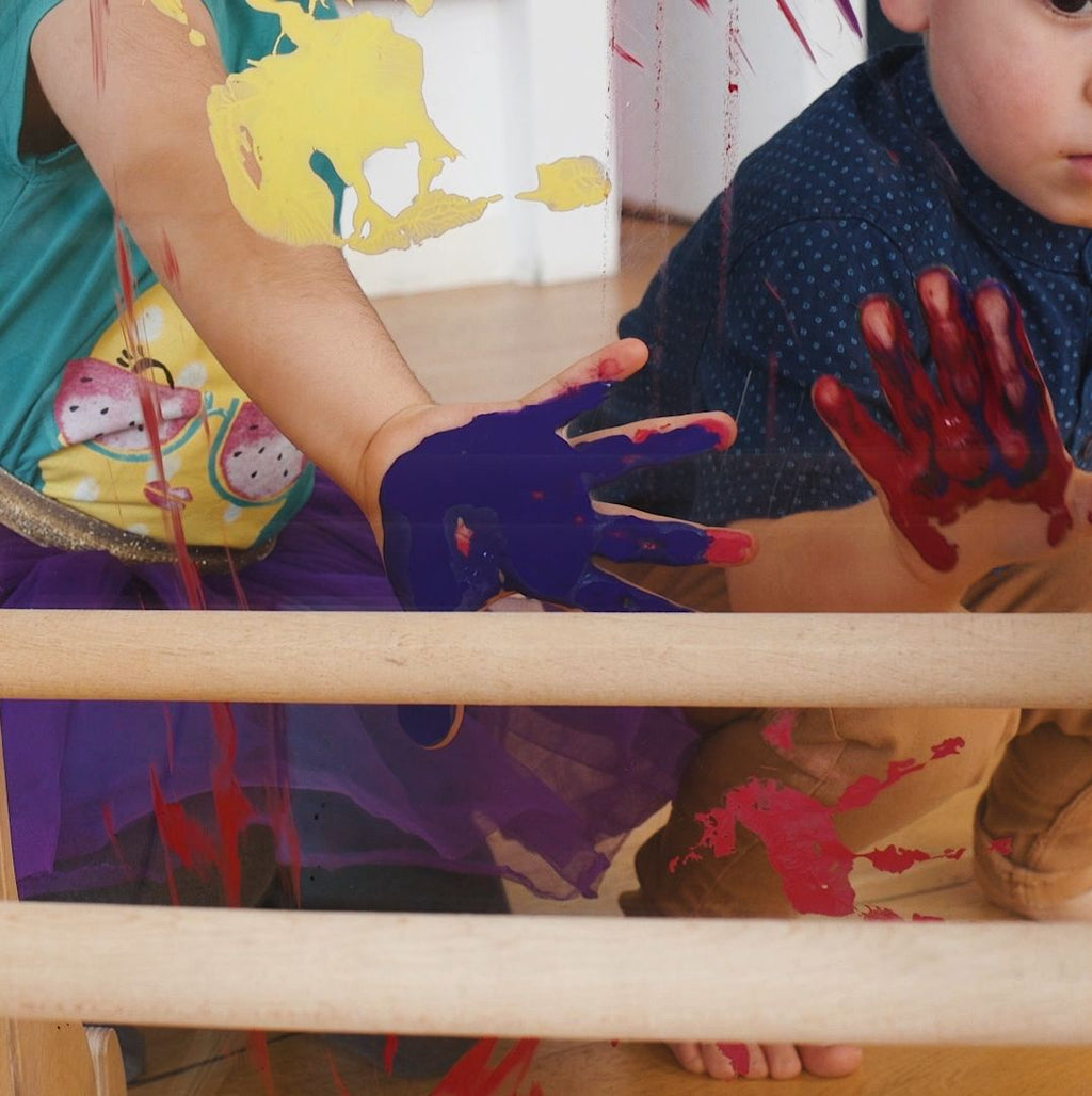 Accesoriu: Panou Acrilic Transparent