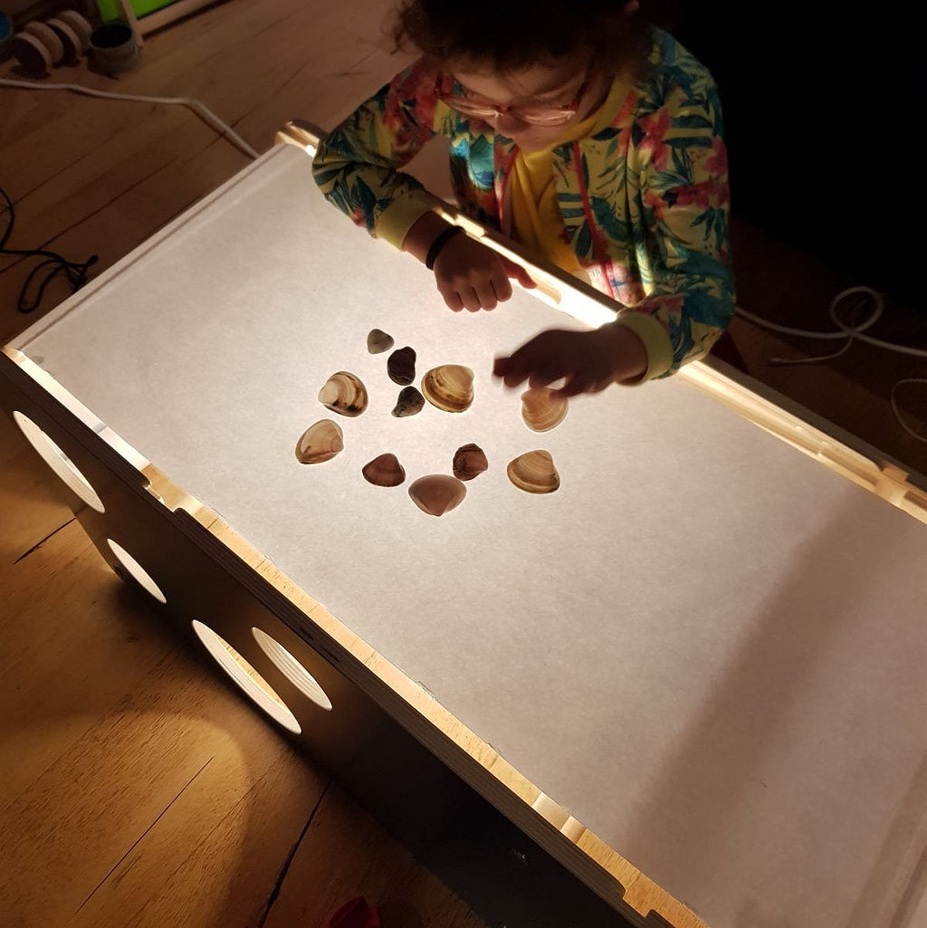 Accesoriu: Panou Acrilic Transparent