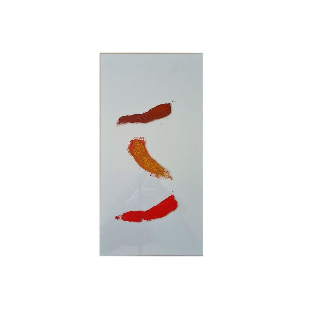 Accesoriu: Panou Acrilic Transparent